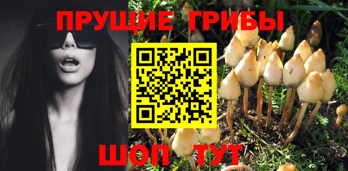 Люберцы  Галлюциногенные грибы GOLDEN TEACHER  Вход с VPN 