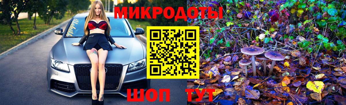 Галлюциногенные грибы Psilocybine cubensis Люберцы